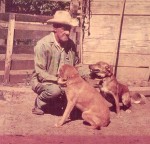 My grandfather, Lloyd Iles, with two of his hog dogs.  circa 1968