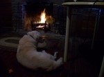Ivory's last day was spent in front of the fireplace at The Old House