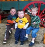 The Iles boys- Noah, Jude and Jack.  Coming soon to a wrestling arena near you. 