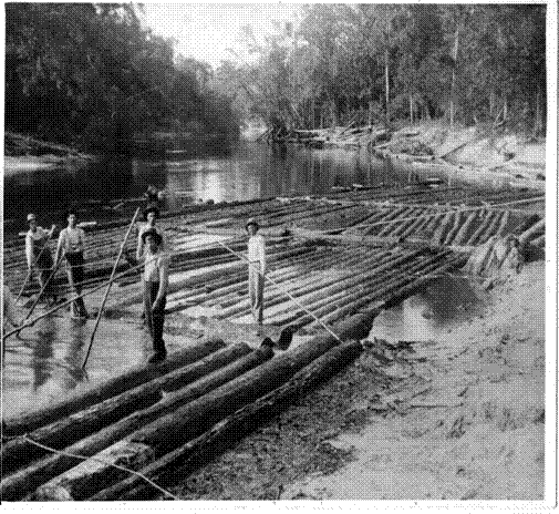 19th century log rafters on the Calcasieu