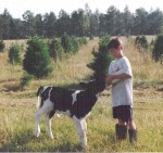 Clint Iles feeding his calf, "Norman"  circa 1992