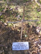 Sugar's Grave at Dry Creek Baptist Camp.  