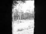 Honduras BW out door