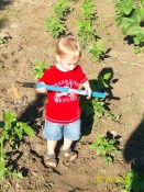 jack in garden 2 (2)