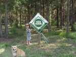 Jack Bella and Tree farm