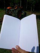 HURRICANES BOOK
