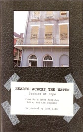 Hearts across the Water   The fourth book by Louisiana author Curt Iles