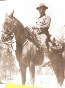 Kisatchie Wild Horse Uncle Sam (2)