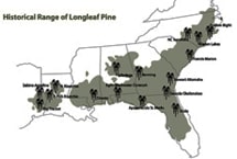 Historic U.S. range of Longleaf Pines 