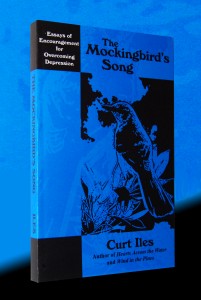 My fifth book, The Mockingbird's Song, begins with a encouraging lesson from a singing mockingbird on a dark night of the soul.