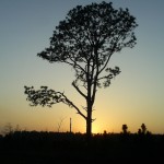 SAMSUNG DIGITAL CAMERA