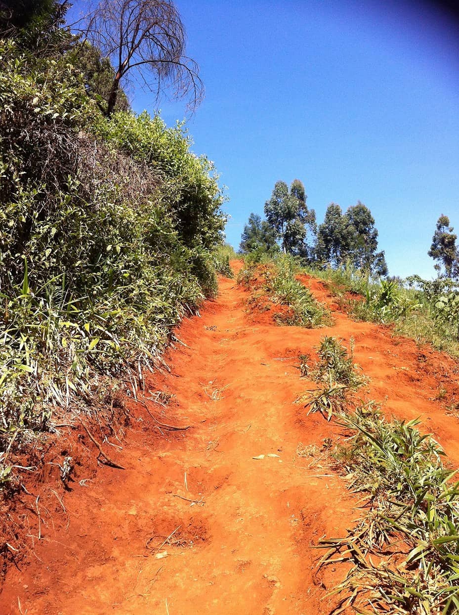 The red dirt of Africa.