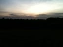 Tea fields at sunset