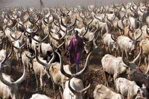 The Dinka Cattle Culture is a key part of South Sudan.