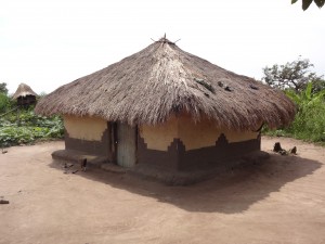 African Hut