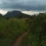 The road UpCountry is often a trail. 