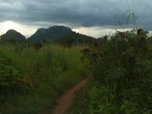 The road UpCountry is often a trail. 