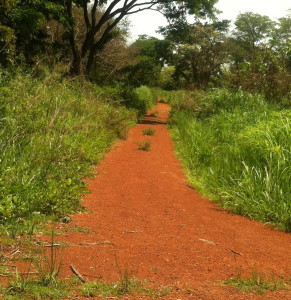 The Road Less Traveled is always red in Africa.