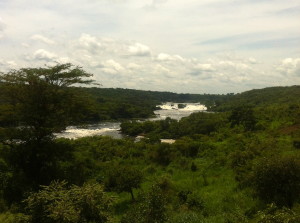 I've cross the Nile at Karuma Falls dozens of times but it always takes my breath to both see and hear it. 