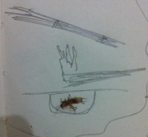 Sketch of ant-catching trap. Note real ant in hole.