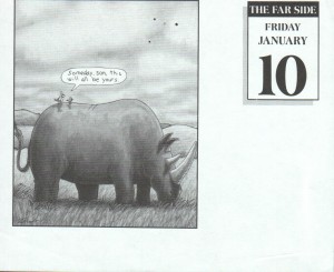 Rhino_Africa_FarSide157