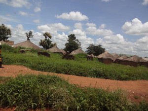 Village Huts 