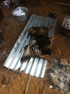 At daylight they were crowing. I took this photo after breakfast. By lunch they were on the plate. That's fresh! Loved that African cooking this week.