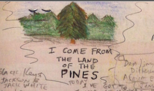 land of the pines
