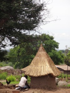 Refugee Camp Granary for Maize (Corn).