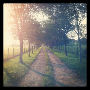 Road near East Beauregard School, Louisiana. Not Africa but never far from my heart.