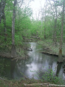 My life has been lived along the creeks and streams of western Louisiana.