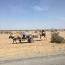 Chadian Nomads