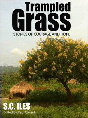 Trampled Grass is an ebook short story collection of our time in Africa. Learn more at www.creekbank.net