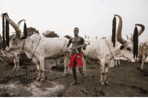 A Mundari Tribal cattleman guards his cattle with an AK-47. There's nothing quite like South Sudan. So glad I got to see it. 