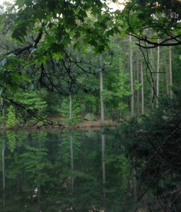 Campsite on small pond.  My green tent (center) blends in with foliage.