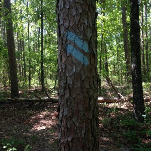 You can walk the entire 220 mile trail by following blue blazes on trees and rocks.  