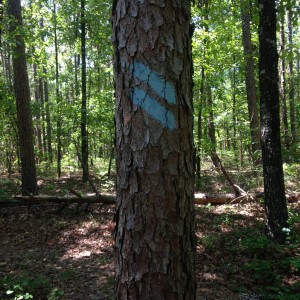 You can walk the entire 220 mile trail by following blue blazes on trees and rocks.