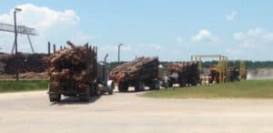 Log Trucks