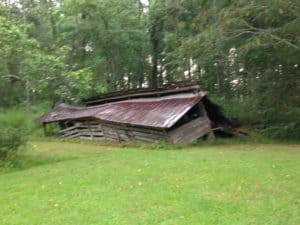 The old barn in Dry Creek is slowly but surely falling down. A rich part of my life. 