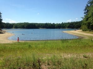 Walden Pond as seen from site of Thoreau cabin.
