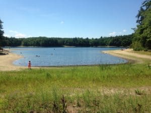 Walden Pond as seen from site of Thoreau cabin. 