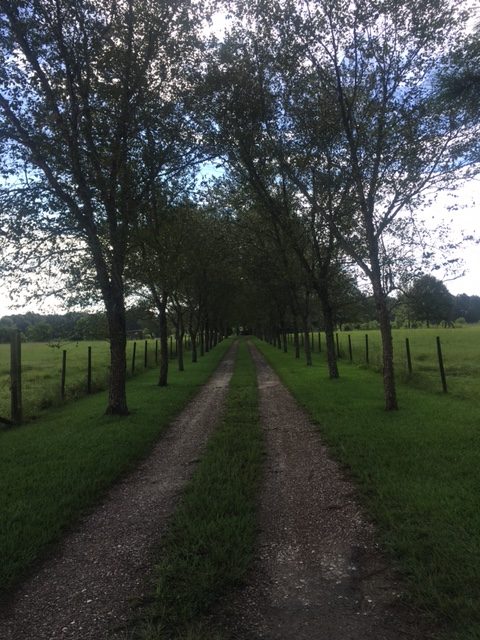 Smithart Road near East Beauregard School.