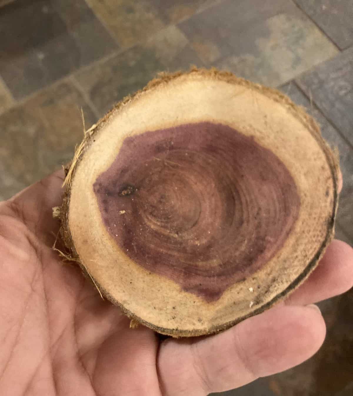 red cedar section